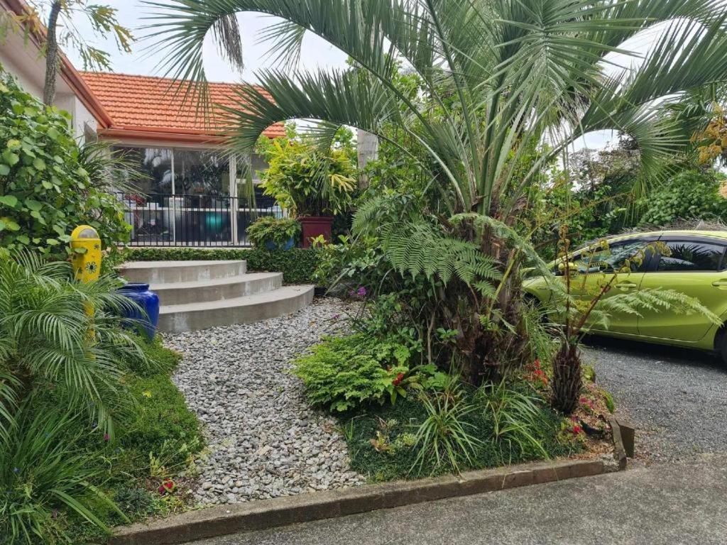 Kk Boarding Holiday House هاملتون المظهر الخارجي الصورة